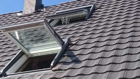 Dachdeckerbetrieb1_Kischke Dachdeckerbetrieb1_Kischke